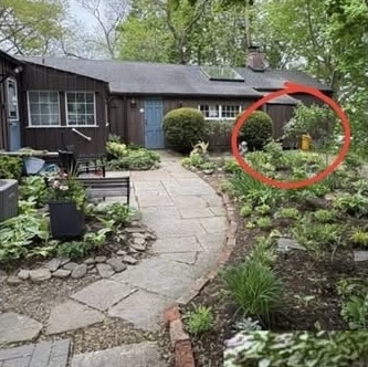 Picture of OHS garden