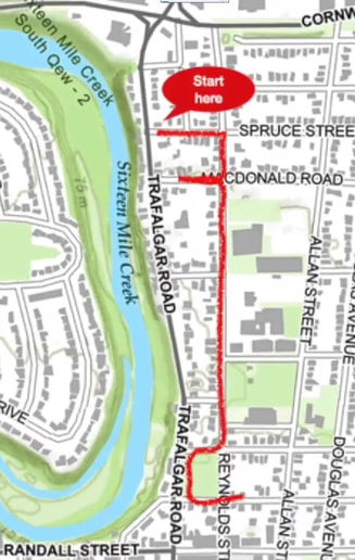 Color map of Reynolds Street with red line showing route