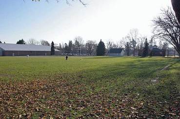 Park field green grass