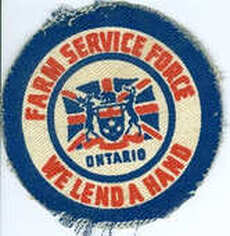 Farm Service Force badge