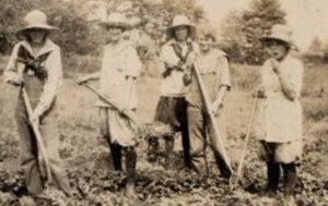 Old photos of female farm workers in WW1