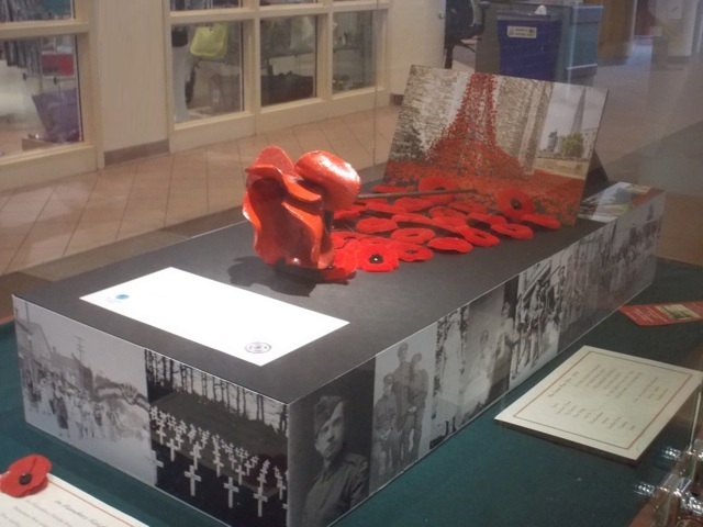 poppies exhibit with black and white photos of soldiers