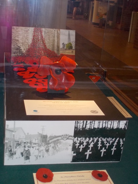 close up of exhibit with poppies and photos of graveyards and soldiers